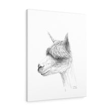 ETHAN Llama - Art Canvas