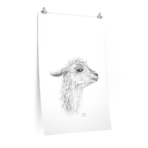 MENGKHA Llama- Art Paper Print