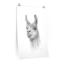 BETHANY Llama- Art Paper Print