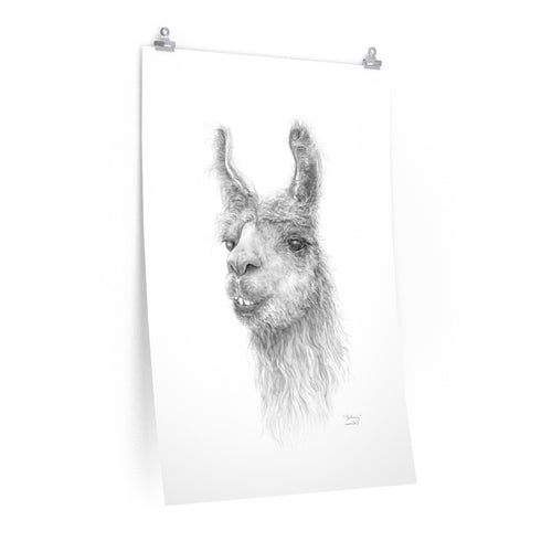 BETHANY Llama- Art Paper Print