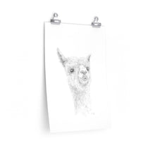 REX Llama- Art Paper Print