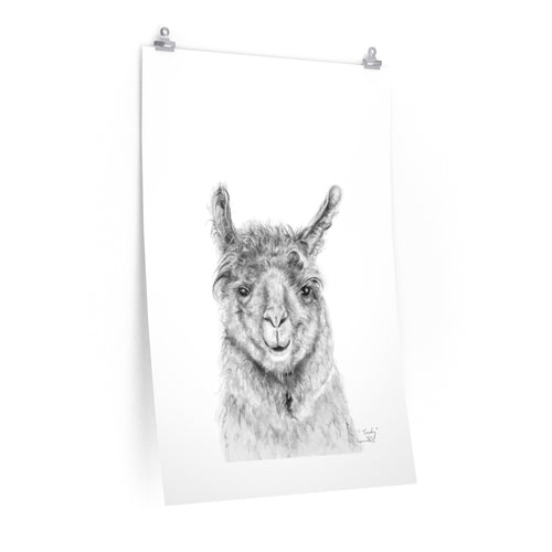 TRUDY Llama- Art Paper Print