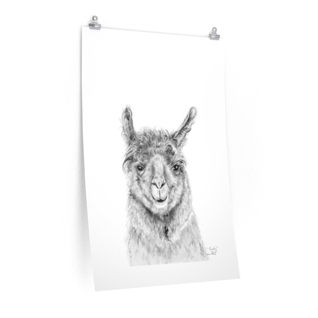 TRUDY Llama- Art Paper Print