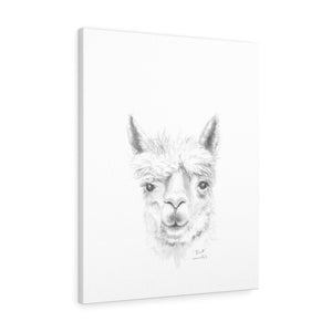 RHETT Llama - Art Canvas