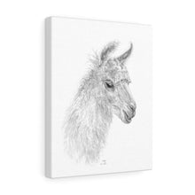 MOLLY Llama - Art Canvas