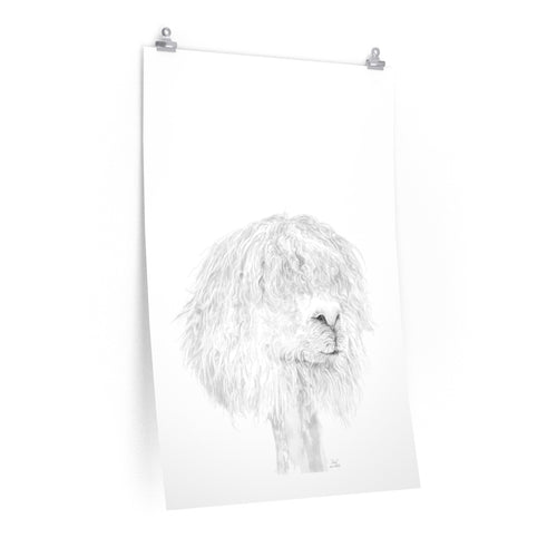 ASA Llama- Art Paper Print