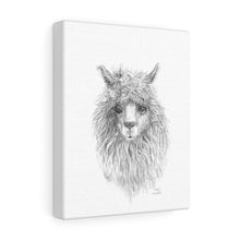 EDDIE Llama - Art Canvas
