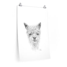 SAWYER Llama- Art Paper Print