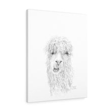 BROOKE Llama - Art Canvas