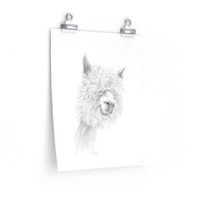 WALTER Llama- Art Paper Print