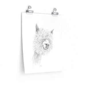 WALTER Llama- Art Paper Print