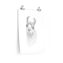 KIRBY Llama- Art Paper Print