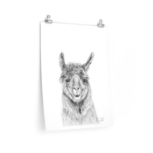 TRUDY Llama- Art Paper Print