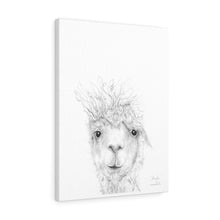 ALEYDA Llama - Art Canvas