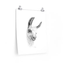 KARIN Llama- Art Paper Print