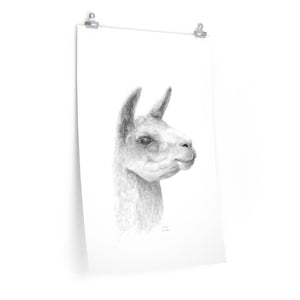 CIERRA Llama- Art Paper Print