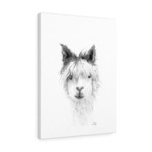 KARA Llama - Art Canvas