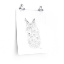 MEREDITH Llama- Art Paper Print