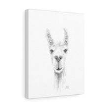 IZAIAH Llama - Art Canvas