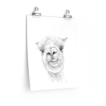 MYKA Llama- Art Paper Print