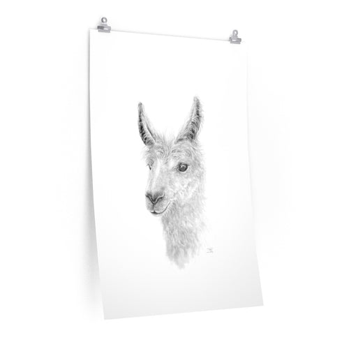 TEELE Llama- Art Paper Print