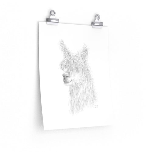 SHONDA Llama- Art Paper Print