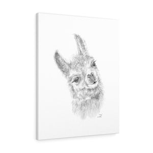 Posey Llama - Art Canvas