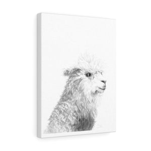 LAUREN Llama - Art Canvas