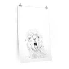 BRENNAN Llama- Art Paper Print
