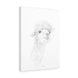 ELEANOR Llama - Art Canvas