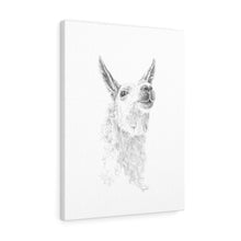 LARRY Llama - Art Canvas