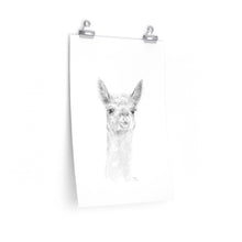 MADDIE Llama- Art Paper Print