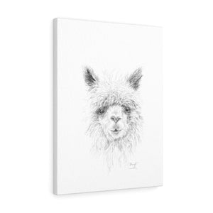 SHERYL Llama - Art Canvas