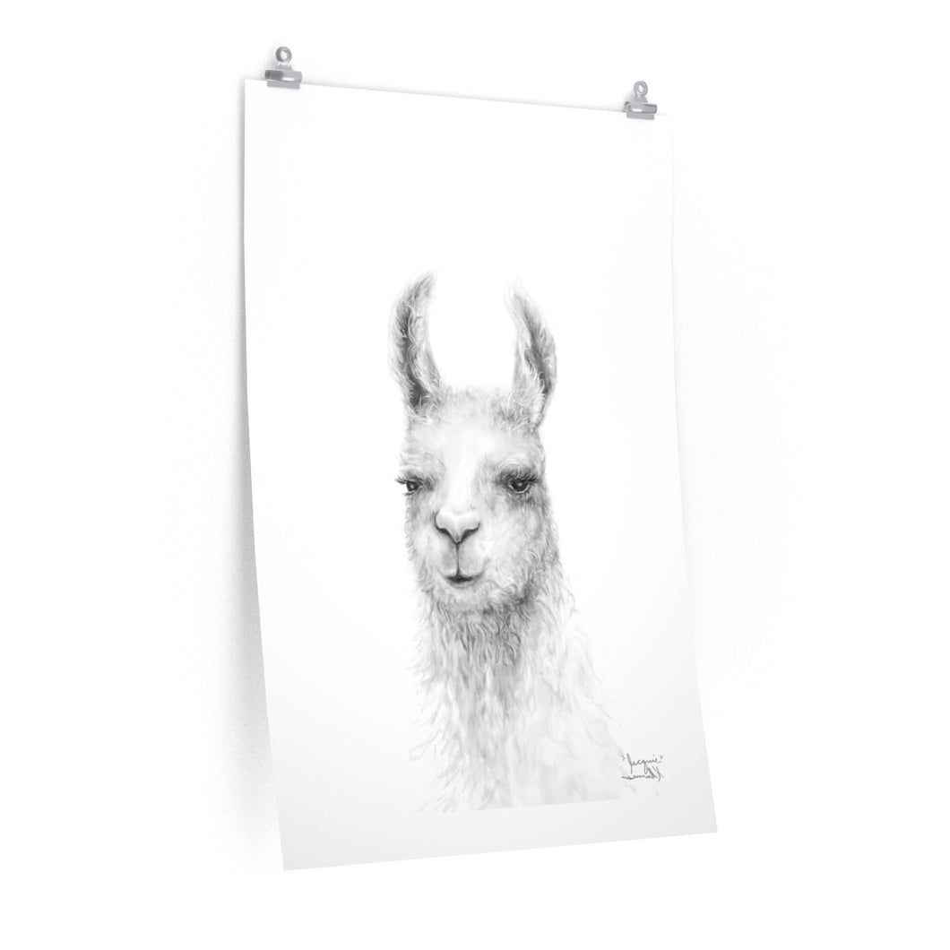 JACQUIE Llama- Art Paper Print