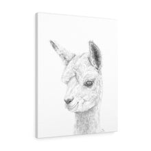 SKY Llama - Art Canvas