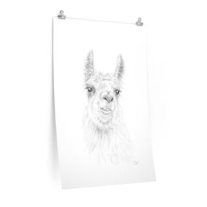 COURTNEY Llama- Art Paper Print