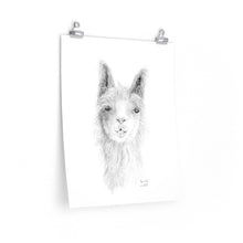 BEVERLY Llama- Art Paper Print