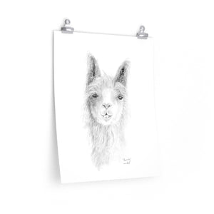 BEVERLY Llama- Art Paper Print