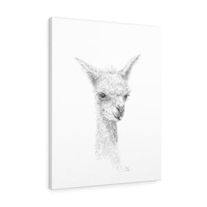 ALICE Llama - Art Canvas