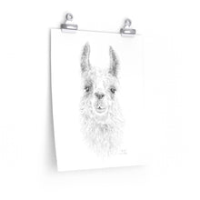 SARAH Llama- Art Paper Print