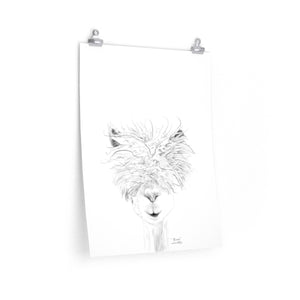 BRUCE Llama- Art Paper Print