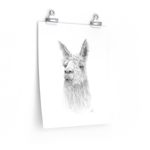 SHELLY Llama- Art Paper Print