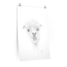 GEORGE Llama- Art Paper Print