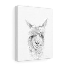 GAELLE Llama - Art Canvas