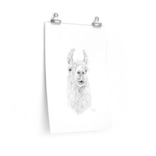 SABRINA Llama- Art Paper Print