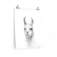 JACQUIE Llama- Art Paper Print