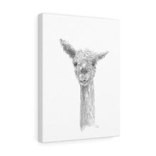 OWEN Llama - Art Canvas