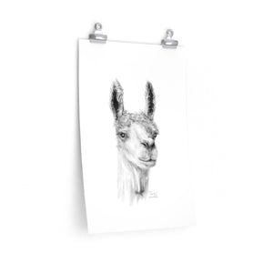 CARRIE Llama- Art Paper Print