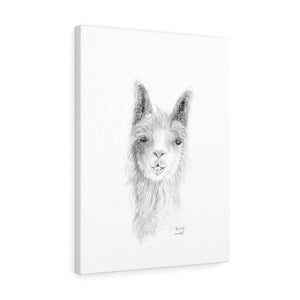 BEVERLY Llama - Art  Canvas