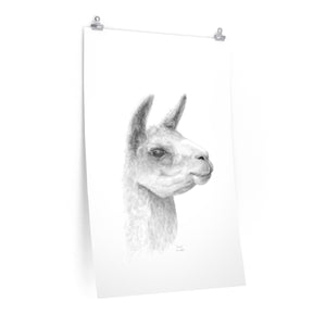 CIERRA Llama- Art Paper Print